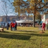 IMG_20151031_125338