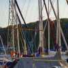 IMG-20240114-WA0019
