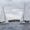 SVH Matchrace