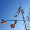 Ansegeln 2019