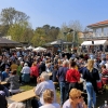Ansegeln 2019