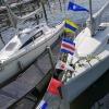 IMG_20190609_113700