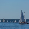 IMG_4427