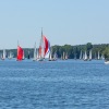 IMG_4555
