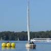 SVH_20190914_2.-Clubwettfahrt-03
