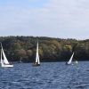 DSC_1000