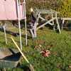 PHOTO-20211030-39