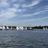 image8